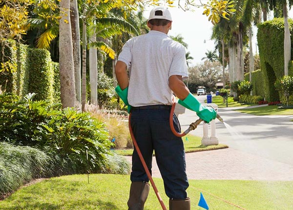 About Saginaw AL Pest Control Pros